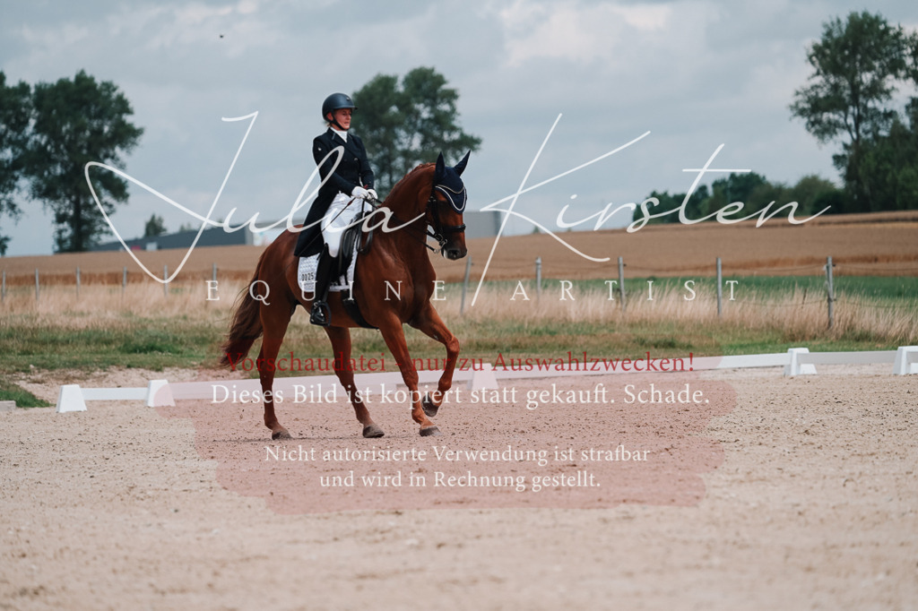 DSC_4233 | Pferde- und Turnierfotografie in Westsachsen. Pferdeportraits, Auftragszeichnungen und intuitive Kunst.