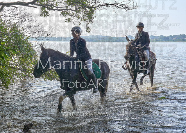 09-23 JAgd PerdölDSC02316_Marina Hewig | Fotografie, FotoArt, PferdesportArt, Pferdesportfotografie, Landschaftsfotografie, Reisefotografie, Reise, Pferde - Realisiert mit Pictrs.com