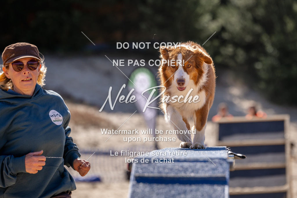 NR__0802 | nelerasche
