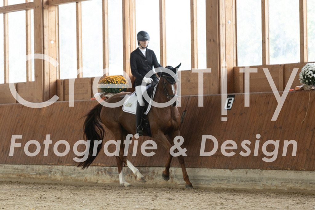 IMG_1249 | Creatify Fotografie