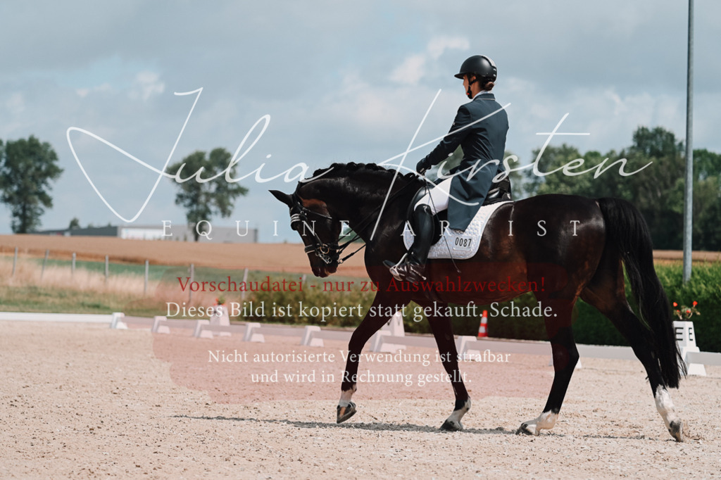 DSC_4070 | Pferde- und Turnierfotografie in Westsachsen. Pferdeportraits, Auftragszeichnungen und intuitive Kunst.