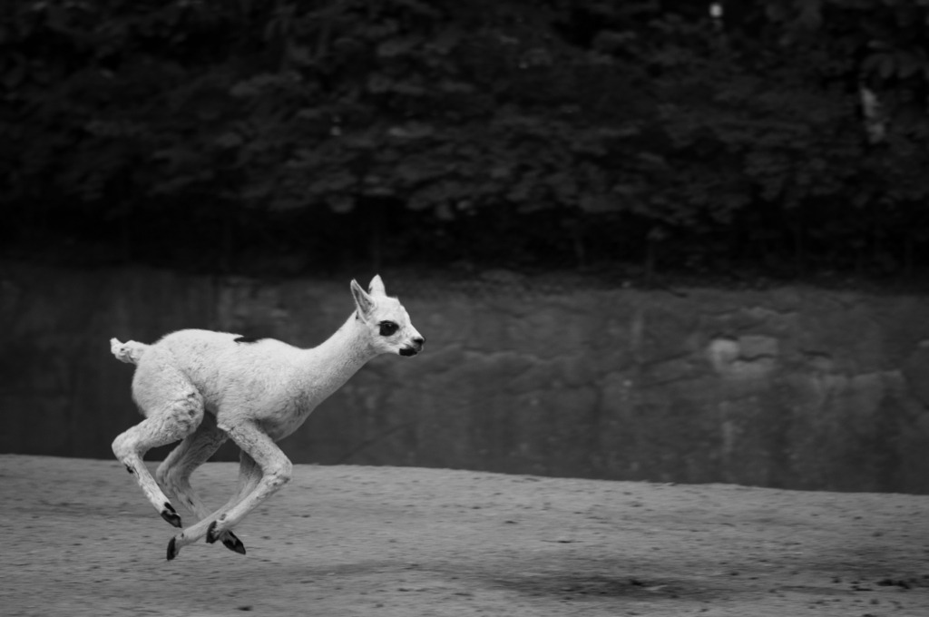 DSC_0760 | kaefersammler_roy - Realisiert mit Pictrs.com