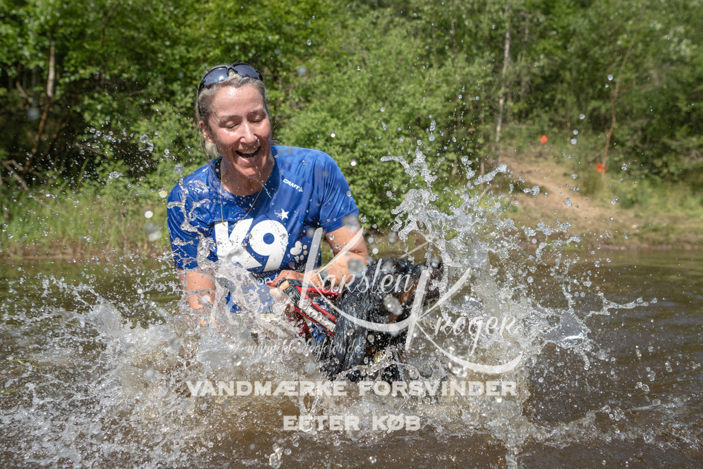 1040DKK991303 | kk-dogfotos