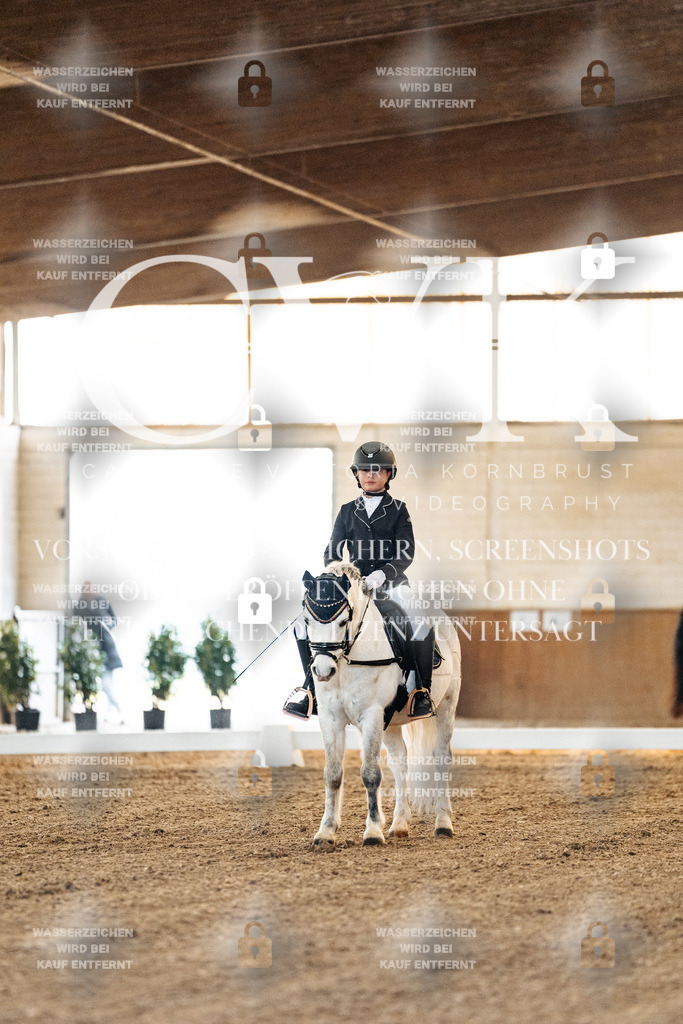 CK906448 | Turnierfotografie Pferdefotografie Trier Rheinland-Pfalz Pferdesport Reitsport Tierfotografie Sportfotografie Pferdevideo Pferdevideografie Equestrianvideography equestrianphotography  - Realisiert mit Pictrs.com