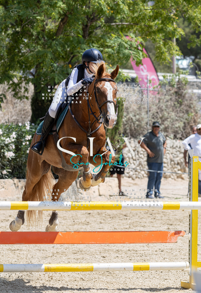 IMG_7821 | s-jay-photography - Realisiert mit Pictrs.com