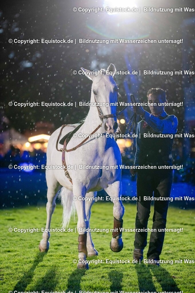 20250606_Lange-Pferdenacht_1109 | Foto: Thomas Hartig