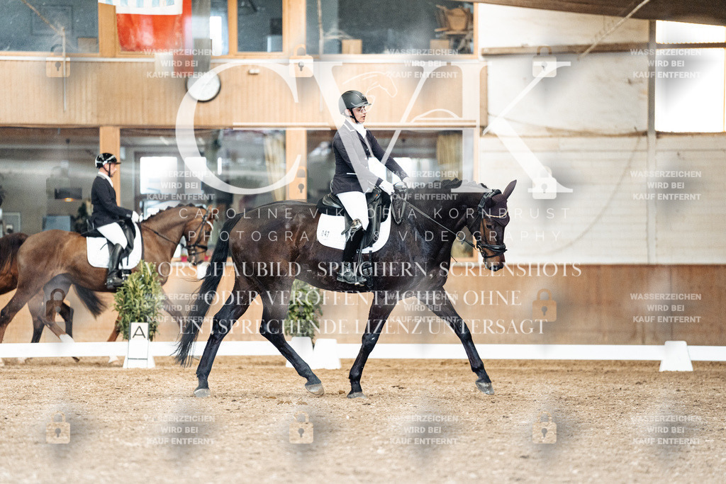 CK901539 | Turnierfotografie Pferdefotografie Trier Rheinland-Pfalz Pferdesport Reitsport Tierfotografie Sportfotografie Pferdevideo Pferdevideografie Equestrianvideography equestrianphotography  - Realisiert mit Pictrs.com