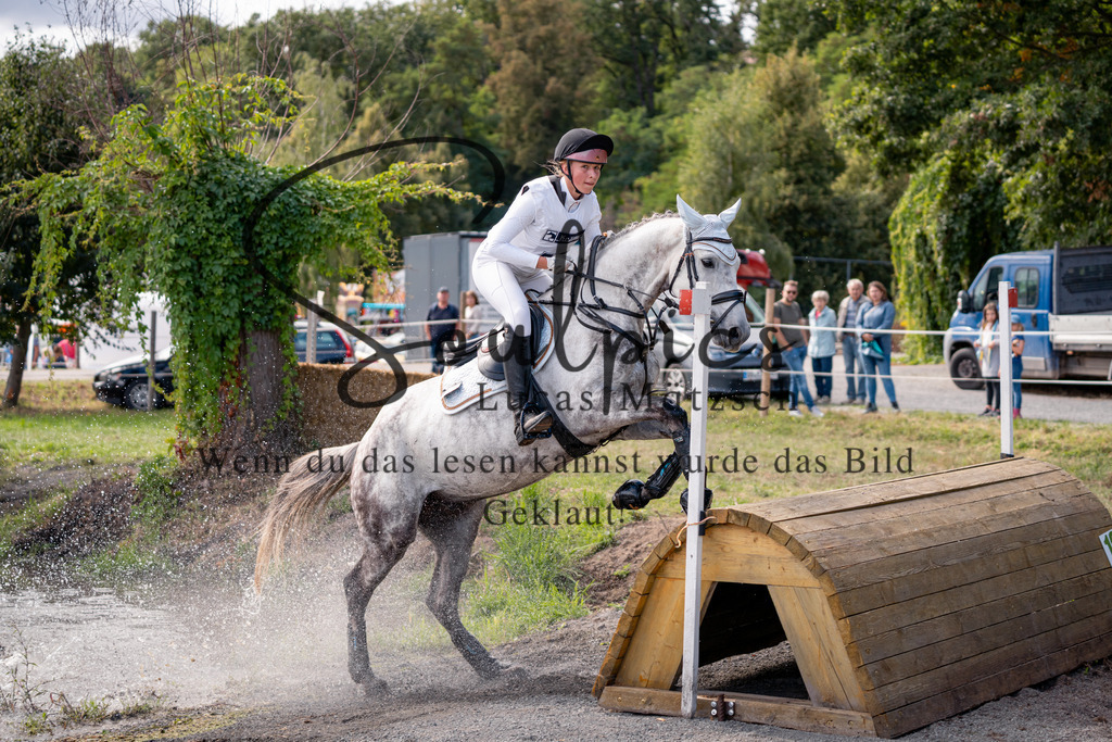 A7V01164 | Pferdefotograf