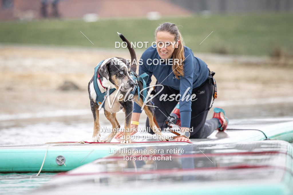 nelerasche_Hulsbeek_Sa1100-1130_370 | nelerasche