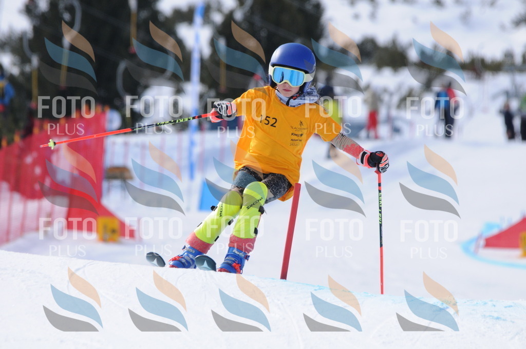 C7299 | holidayphoto