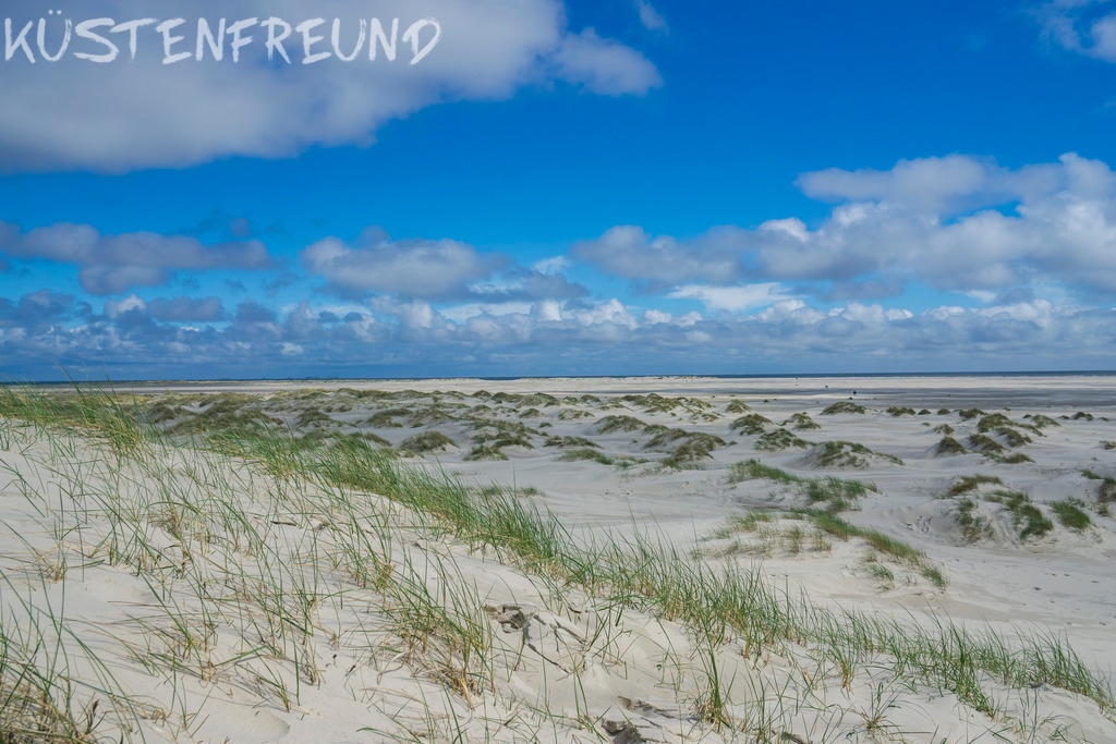Amrum Dünen Landschaft | Entdecke deine Lieblingslandschaft von der Küste – auf Ostsee Leinwand, Nordsee Leinwand, Alu Dibond oder Acrylglas, passend für jeden Geschmack und Raum.