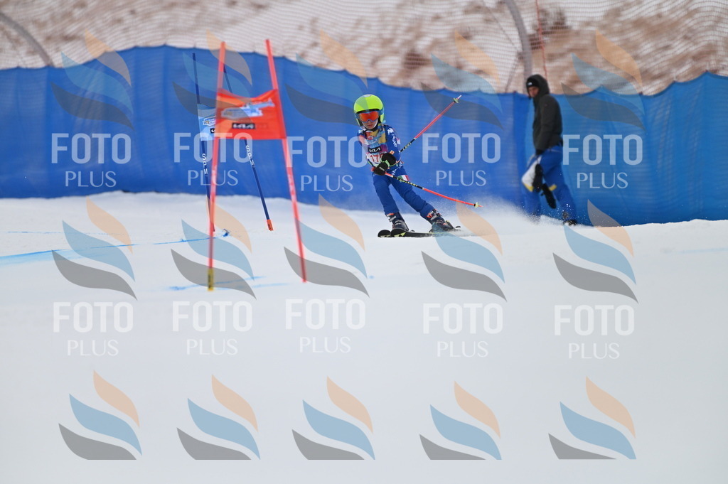 BGV_0808 | holidayphoto