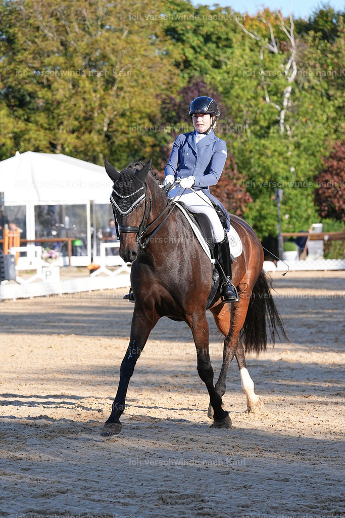09_1-200-DRESSUR  S_  -Marixx-5659 | working equitationturnier fotograf videograf stoibphotography marixx film working equitation deutschland reitsport turnierfotografie eventfotografie equestrian events
