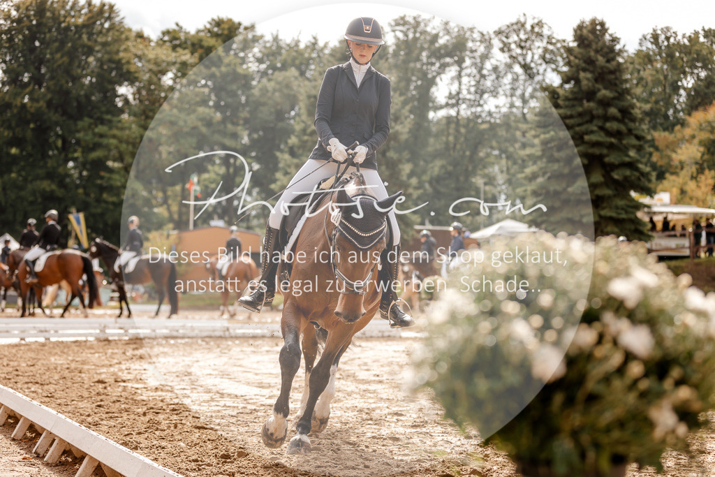 3I6A7151 | Stimmungsvolle Portraits und Reitsportfotografie im Ruhrgebiet und im Münsterland.

Pferdefotografie, Hundefotografie, Tierfotografie, Reportagen, Portraits von Tier und Mensch, Turnierfotografie in Bochum, Recklinghausen, Marl, Haltern am See, Dülmen.. - Realisiert mit Pictrs.com