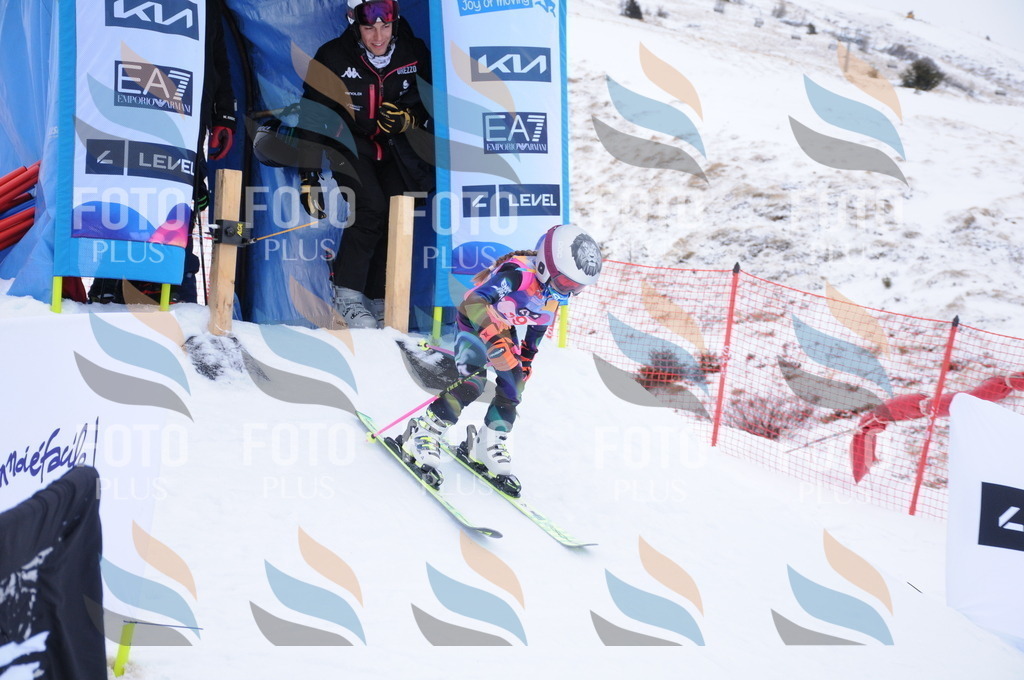 DSC_7847 | holidayphoto