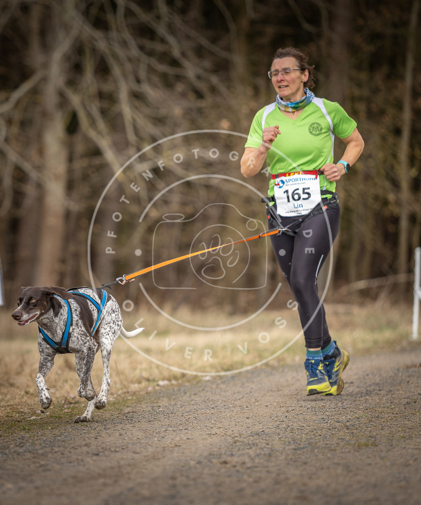 DV3A5362 | Hundefotografie, Tierfotograf, Pfotenfotografie, Fotoshooting Hund, Hunde Portrait, Hundesport, Hundeportraits, Heideshooting, Hunde, Sportfotograf, Hundefotograf, Turnierhundsport, THS,  - Realisiert mit Pictrs.com