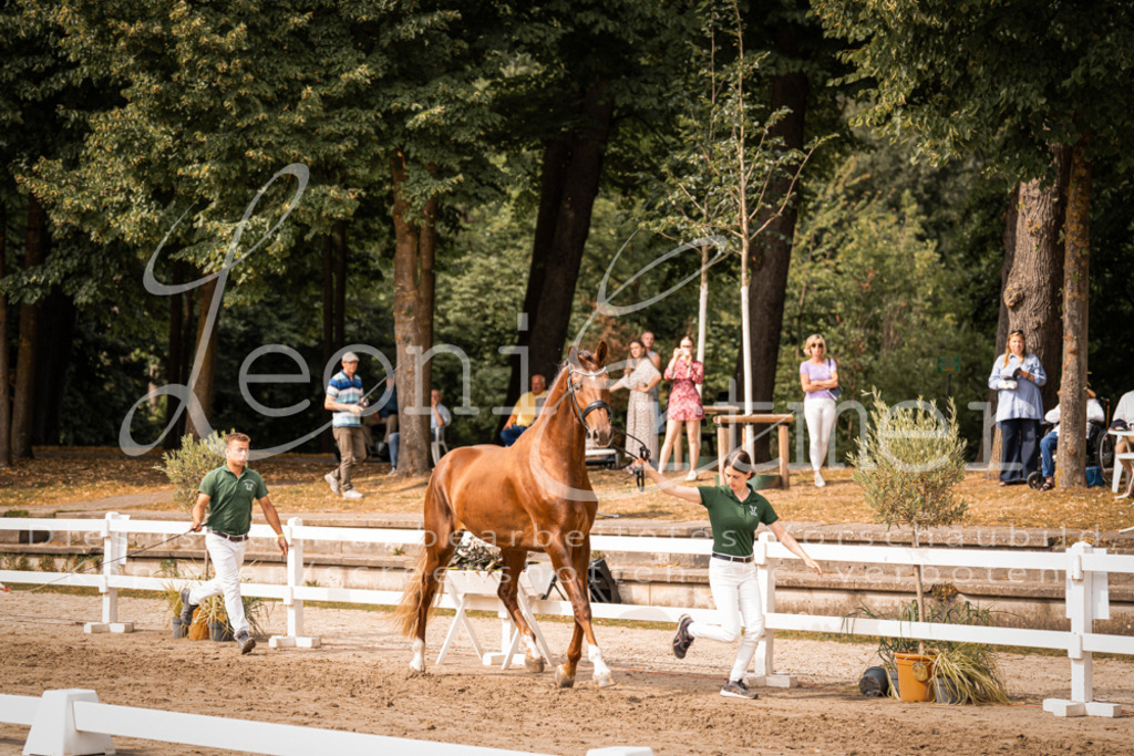 7.Fr00064 | Leoni Ertmer Photography - Realisiert mit Pictrs.com