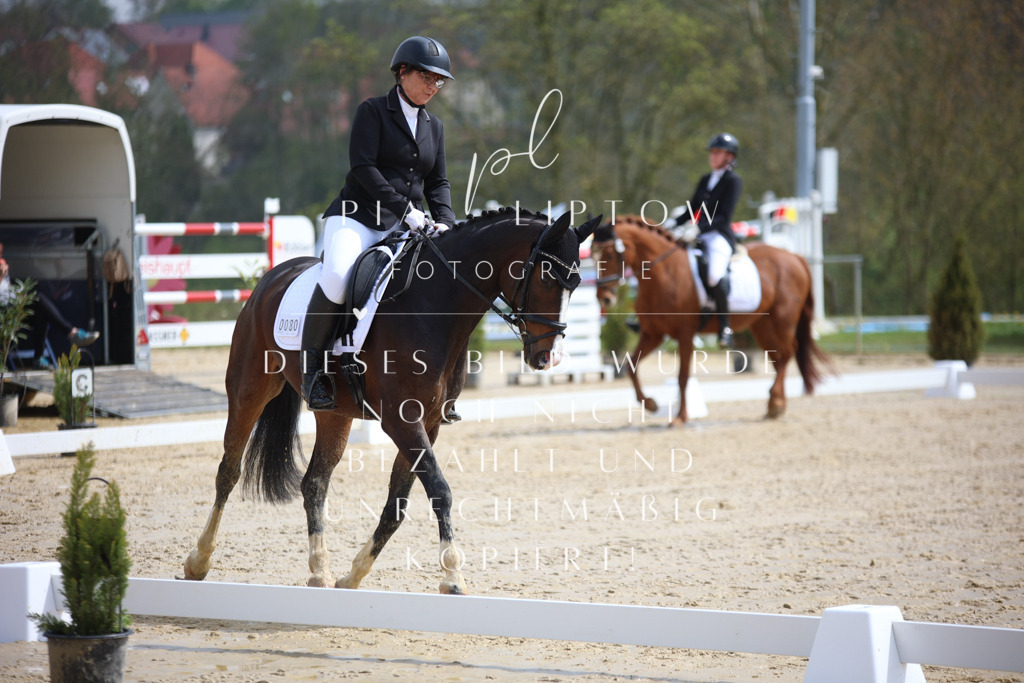 IMGT2553 | pl-fotografie