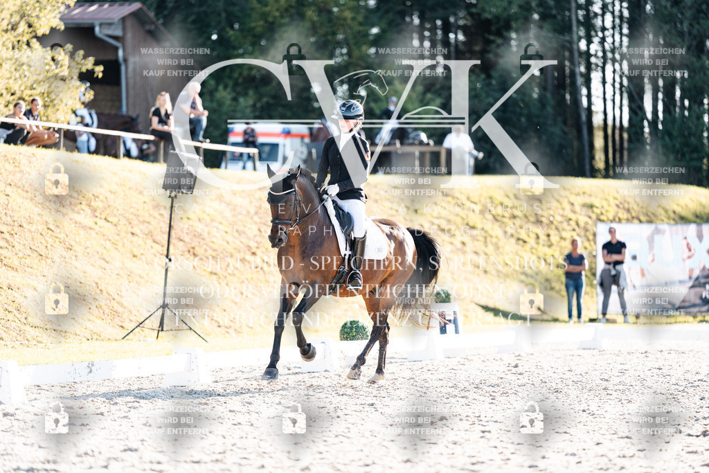 CK907111 | Turnierfotografie Pferdefotografie Trier Rheinland-Pfalz Pferdesport Reitsport Tierfotografie Sportfotografie Pferdevideo Pferdevideografie Equestrianvideography equestrianphotography  - Realisiert mit Pictrs.com