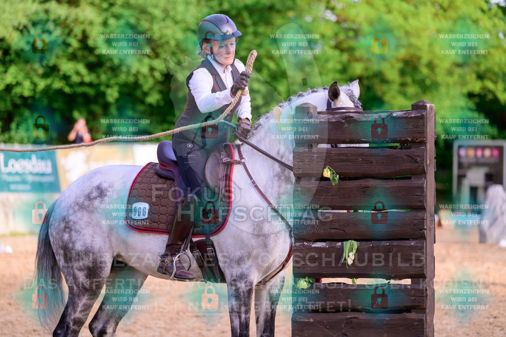 02052026-Giesenbach-03-Speedtrail-1149 | Fokus Hufschlag Fotografie - Realisiert mit Pictrs.com
