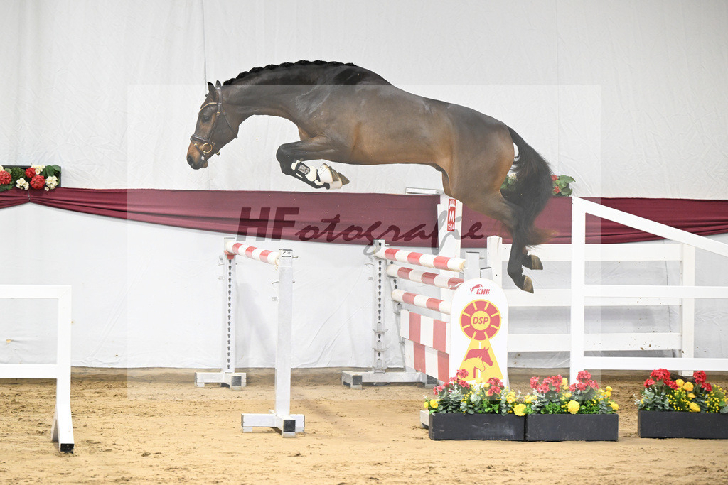 Kat-Nr. 6 Conthargos x Cornet Obolensky_Paul Scheuerer_47250130 | hf-fotografie - Realisiert mit Pictrs.com