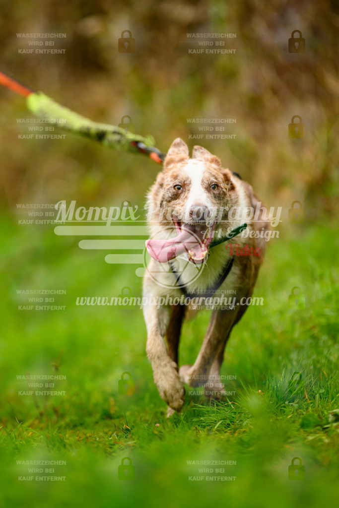 MompixPhotography_20TSB_E8_Run-121 | PayLife
