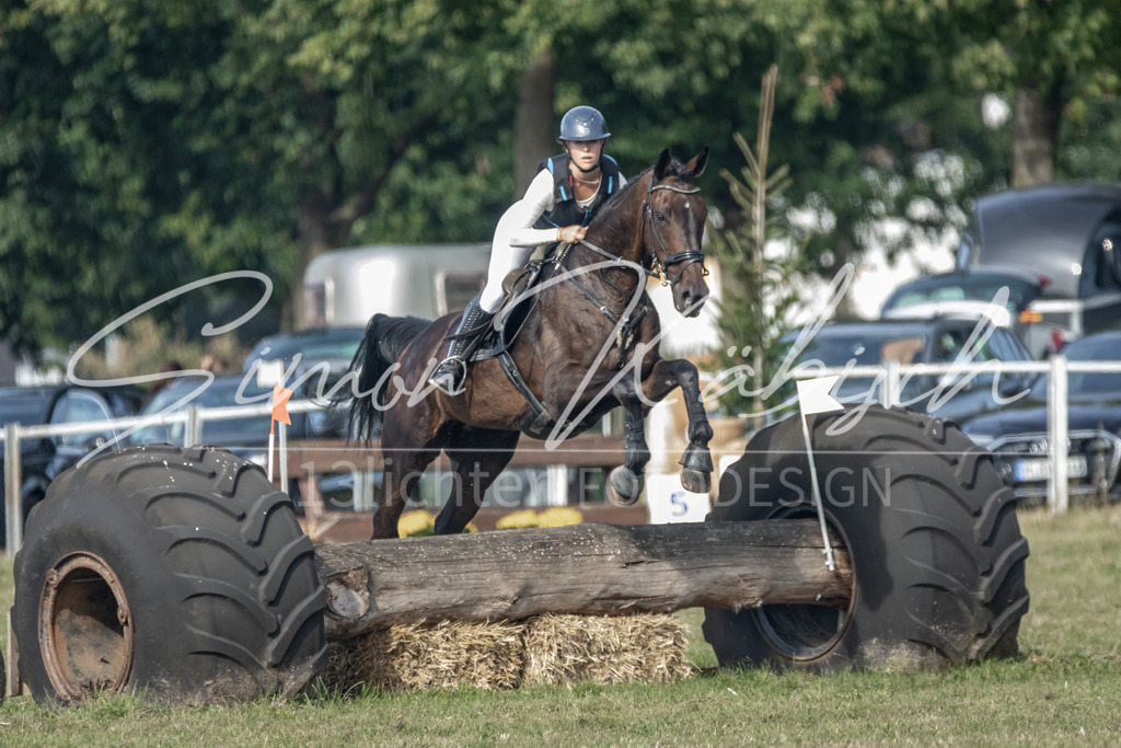 20250907-_3LR7844 | Tierfotografie Pferde, Hunde, Katzen, Haustiere.
Turnierfotografie Reitturniere, Reiten, Springreiten, Dressur in Hanau, dem Main-Kinzig-Kreis und dem Rhein-Main- Gebiet um Frankfurt
