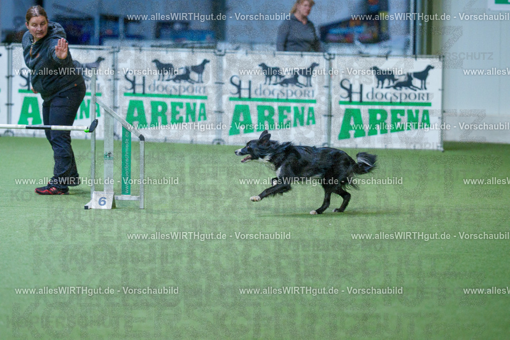 @allesWIRTHgut_Tierfotografie - www.allesWIRTHgut.de - 2604260810-7R506783 | Professionelle Tierfotografie in Mönchengladbach von Daniel Wirth (allesWIRTHgut). Liebevolle & natürliche Bilder von Hunden & Katzen für unvergessliche Erinnerungen.