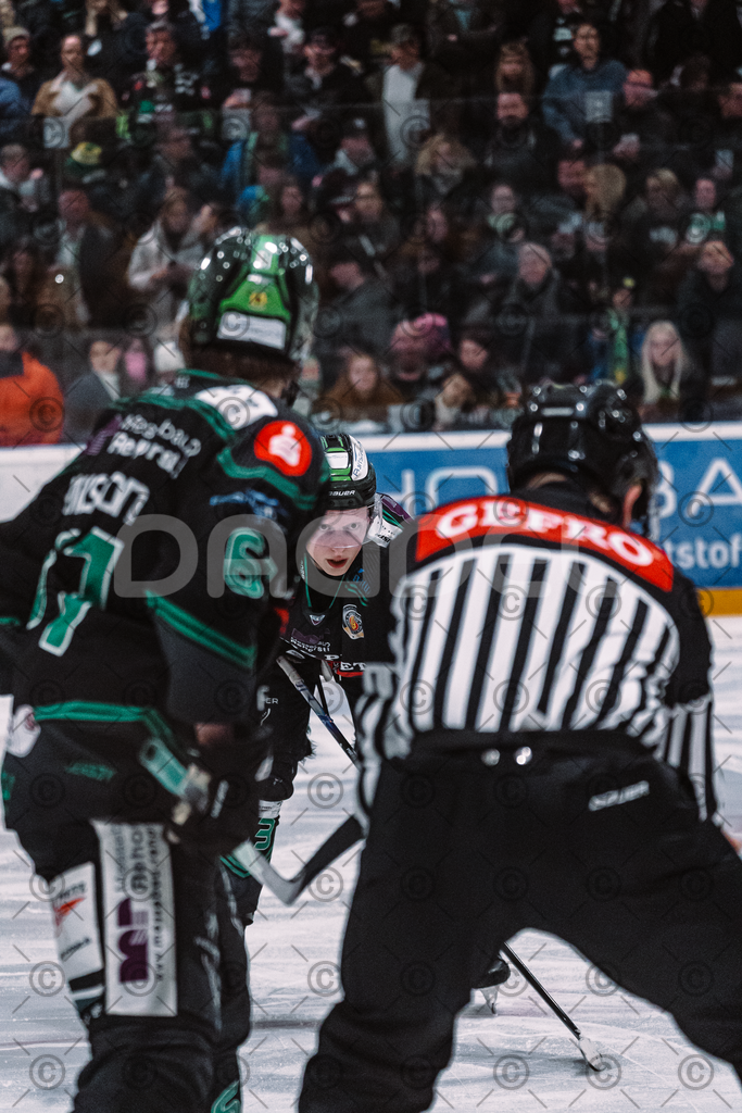 Alligators_vs_Fuessen_06_03_2026_PP-37 | Höchstadt Alligators Fotogalerie: Eishockey-Action aus Franken. Professionelle Spielfotos, Portraits & Stadionbilder zum Download. Jetzt entdecken! - Realisiert mit Pictrs.com