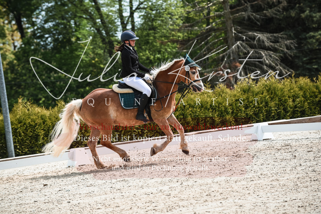 20230518_JK-Röhrsdorf-11-0536 | Pferde- und Turnierfotografie in Westsachsen. Pferdeportraits, Auftragszeichnungen und intuitive Kunst.