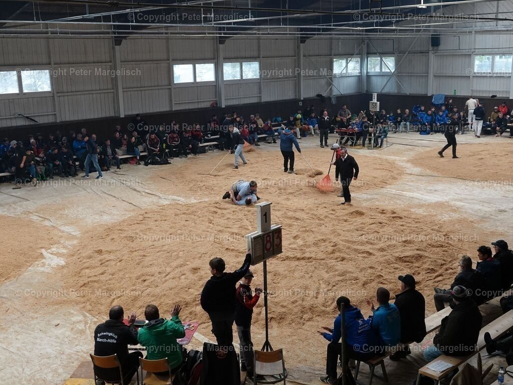 k-DSC06125 | Schwingen - Realisiert mit Pictrs.com