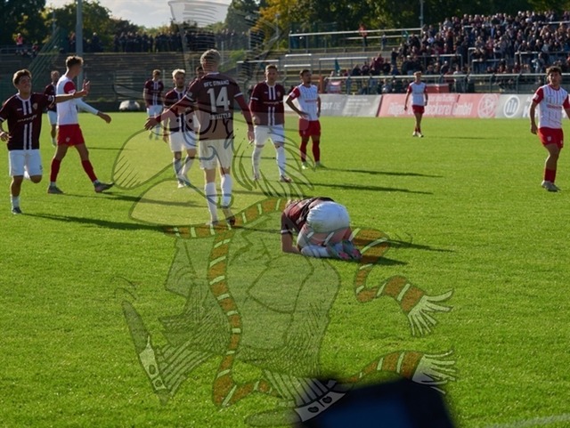 BFC Dynamo vs. FSV Zwickau 108 | mythos-online-redaktion