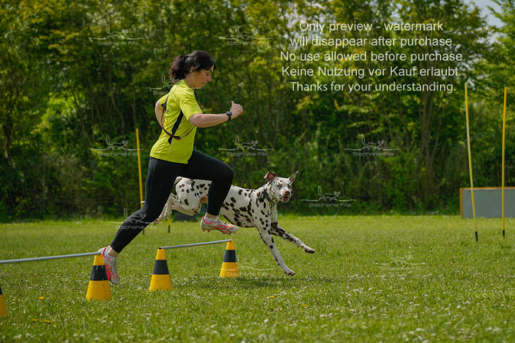Sa_Laeufe_VK1und2_04-56 | stephaniefillaphotographie - Realisiert mit Pictrs.com