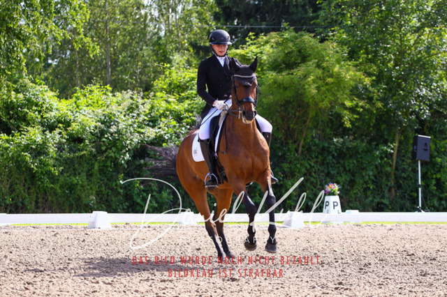 DKP41410 | Turnierfotos kaufen im Webshop von Daniel Kuhl Photography – entdecke professionelle Reitsportfotos aus Turnieren & Events. Hochwertige Turnierbilder online bestellen & sichern. Jetzt Fotos von Reitsportturnieren kaufen!