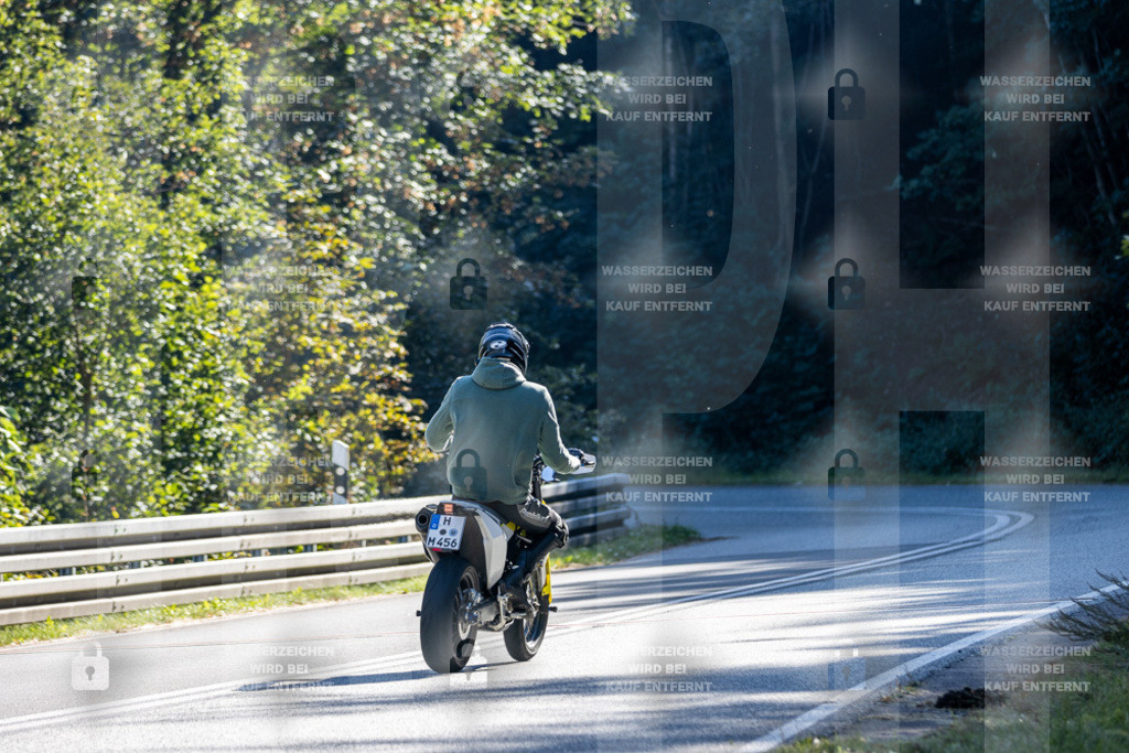 IMG_3548 | jrph - Realisiert mit Pictrs.com