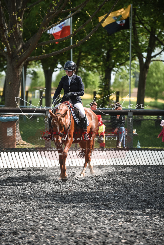 DSC_9064 | Pferde- und Turnierfotografie in Westsachsen. Pferdeportraits, Auftragszeichnungen und intuitive Kunst.