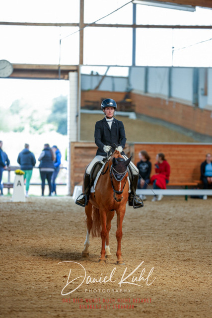 _62_6952 | Turniersportfotografie; Pferdefotografie; Dressurfotografie