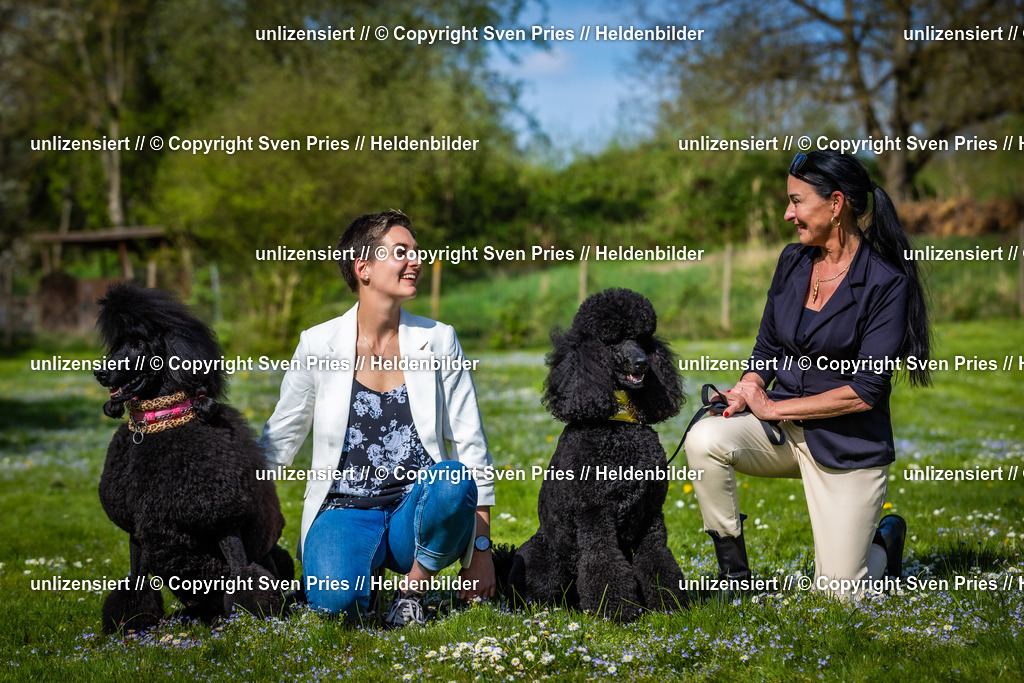 Sven Pries | 2025-04-13 - Hunderennen Baden-Baden - Realisiert mit Pictrs.com