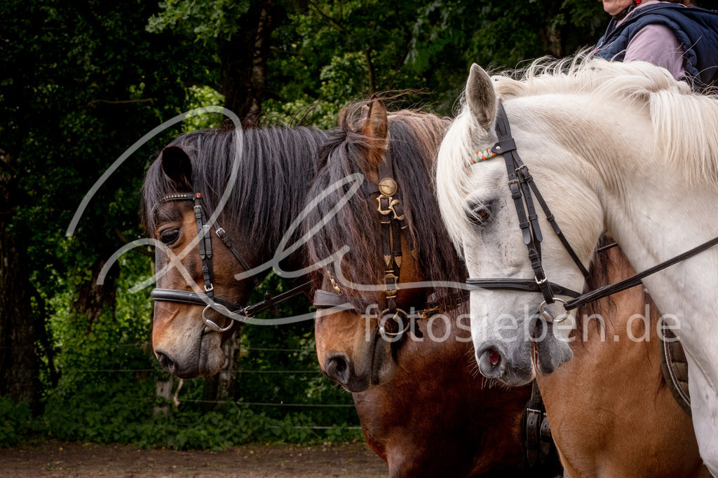 846A0980 | fotosleben - Realisiert mit Pictrs.com