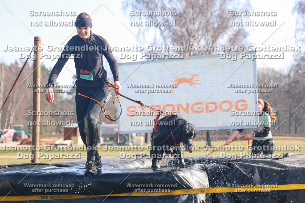 Dog Paparazzi - Strongdog North Mrz26-817 | Dog Paparazzi Jeanette Grottendiek Fotografie & Videografie - Realisiert mit Pictrs.com