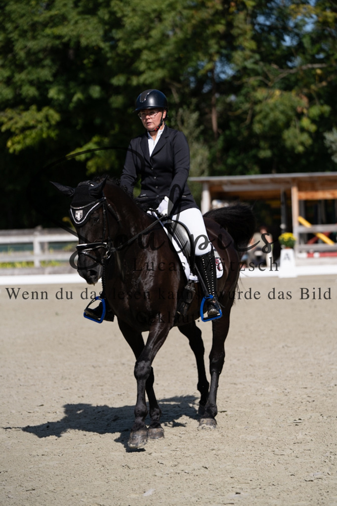 A7V07075 | Turnier/Reitfotograf