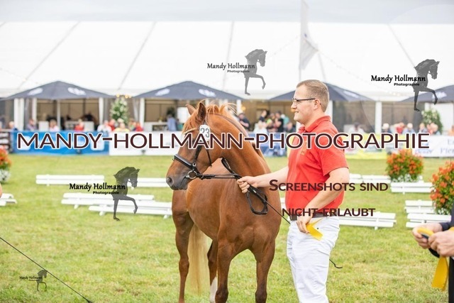 LTN STUTEN (906) | mandyhollmannphotographie