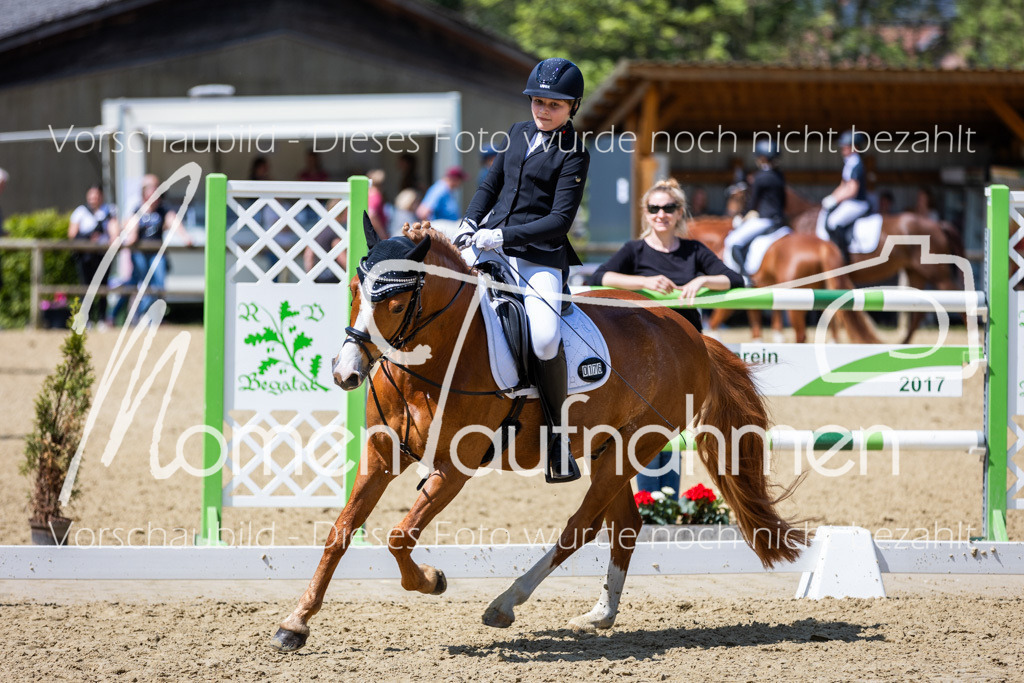 Donop24-RWB-017 | MomenTaufnahmen Pferdesportfotos