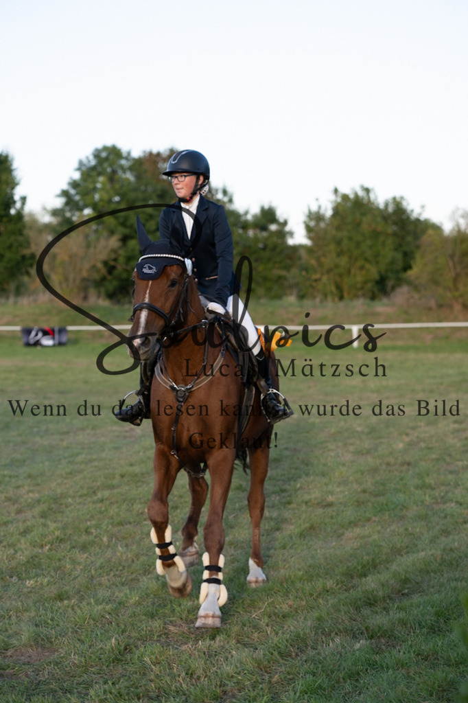 A7V04812 | Pferdefotograf