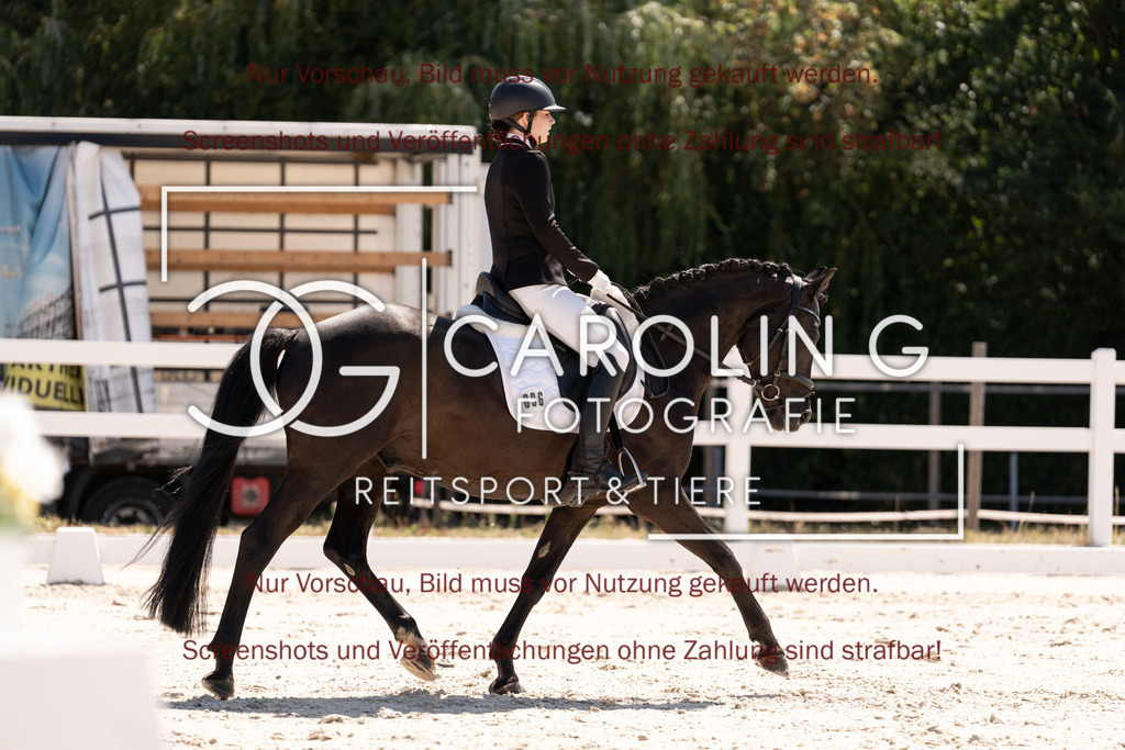 DSC05201 | Dressurturnier_Göppingen_2026, Jessica_Riana_Jung, Shooting_Star