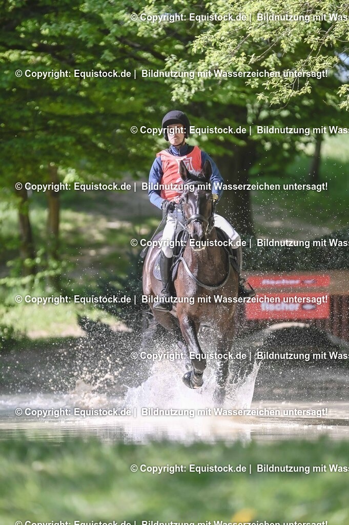 20250517_CCI2_Gelände_0842 | Foto: Thomas Hartig