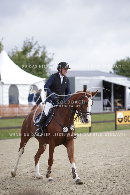 1J2A1097Niclas Aromaa_ Ocala 6_ Kn812_ Havekost | Foto- und Videografie für alles rund ums Pferd. Hochwertige Bilder und Videos vom Spring- und Dressurreiten, Voltigieren & mehr. Jetzt aktuelle Veranstaltungen und Preise im Shop ansehen. - Realisiert mit Pictrs.com