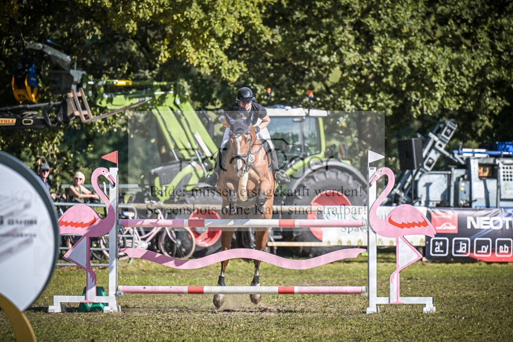 DOS_1179 | Entdecke hochwertige Reitturnierfotos von Foto Oger. Professionell, emotional und authentisch – jetzt Lieblingsmomente im Shop bestellen.Deutschlandweite Turnierfotografie. - Realisiert mit Pictrs.com