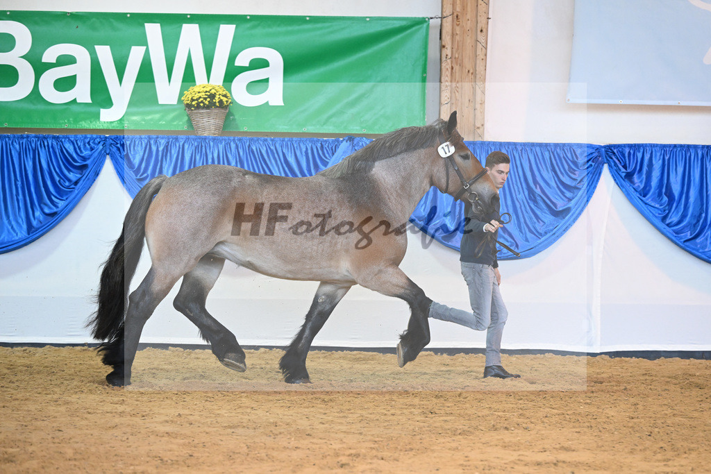 Kat-Nr. 17 Alma_ZG Meyer zu Huecker_53221029 | hf-fotografie - Realizzato con Pictrs.com