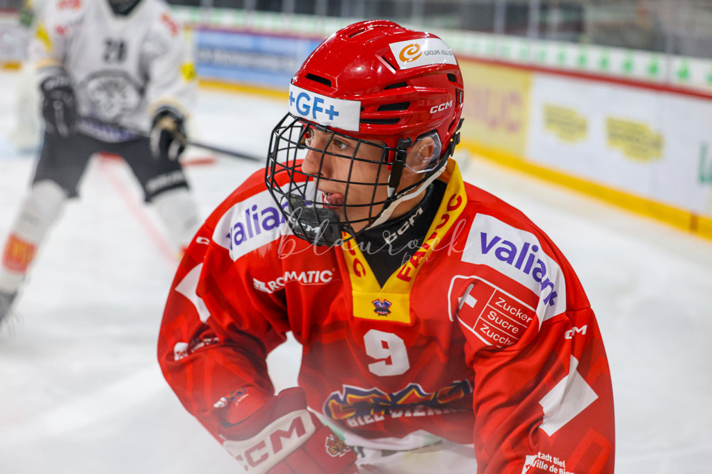 701A3113 | Sportbilder, Sportfotograf, Hochzeits- und Eventfotografin, Flugshows, Portraits und Tiershooting, Aviation, Downhill, Nationalleague, Swissleague, International